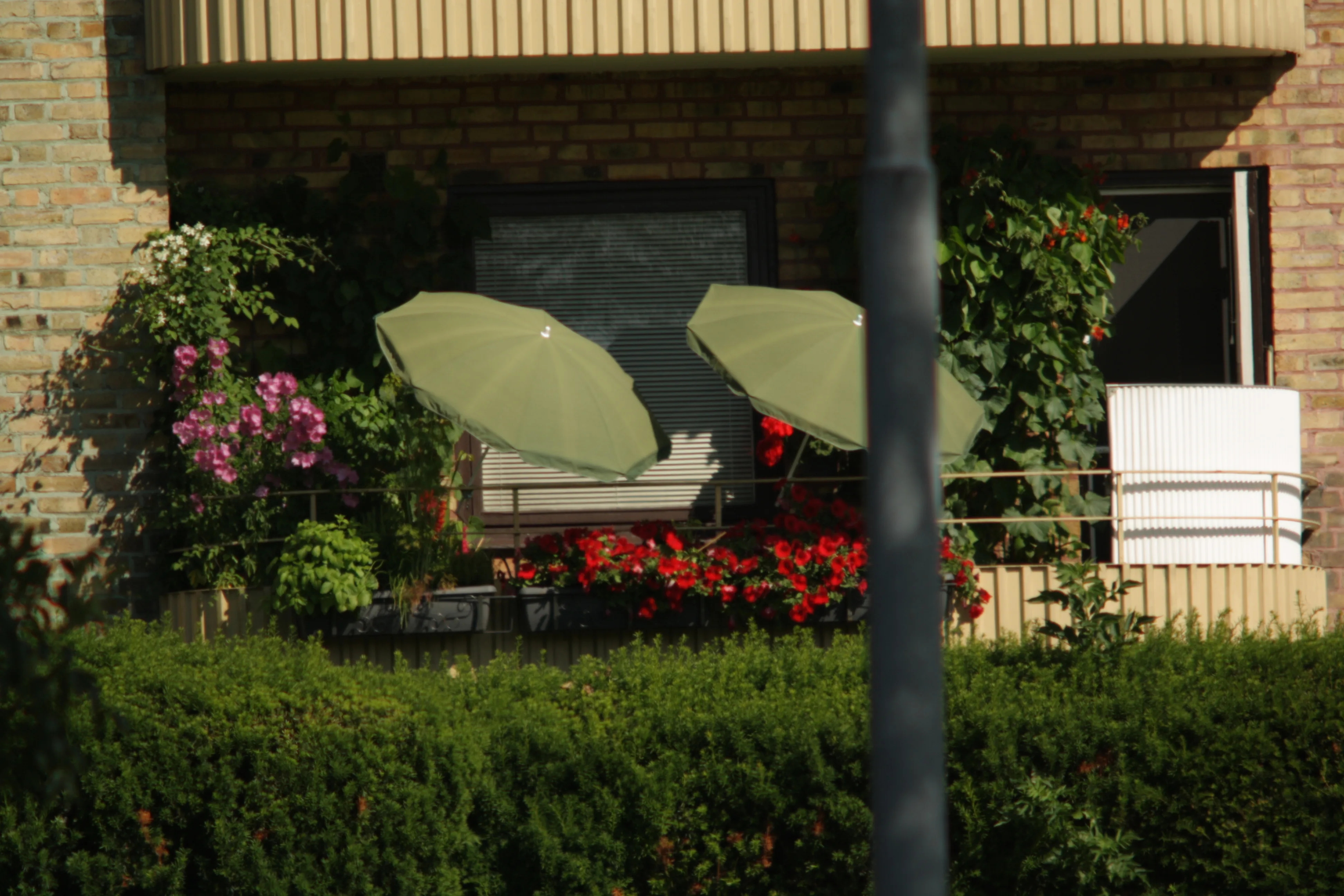 Terrasse aménagée avec mobilier et parasols pour espace de détente