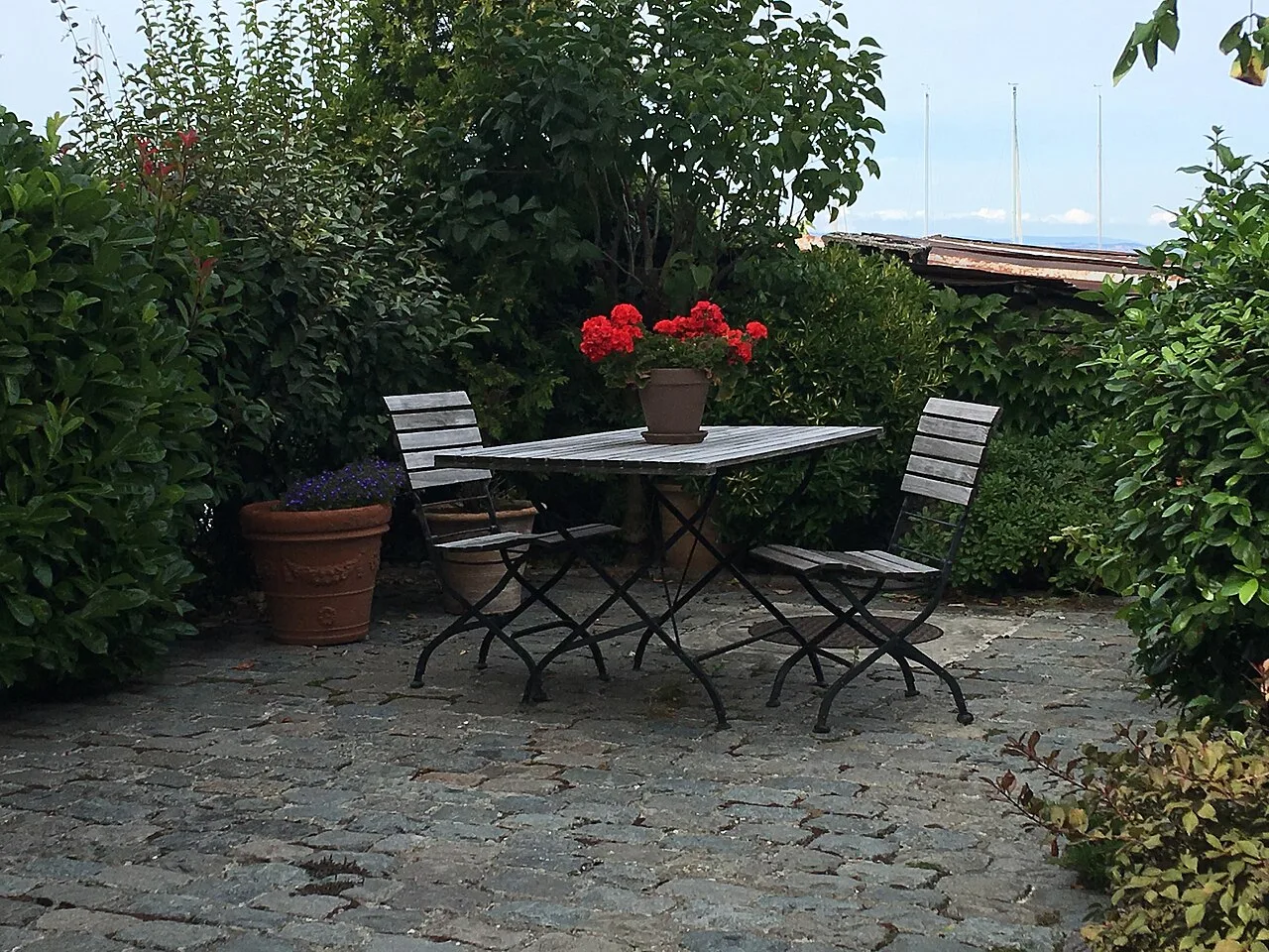 Aménager son Jardin : Idées, Budget et Plantes pour 2026