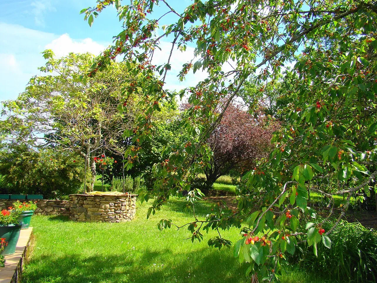 Jardin fleuri avec massifs colorés et végétation variée dans le sud de la France