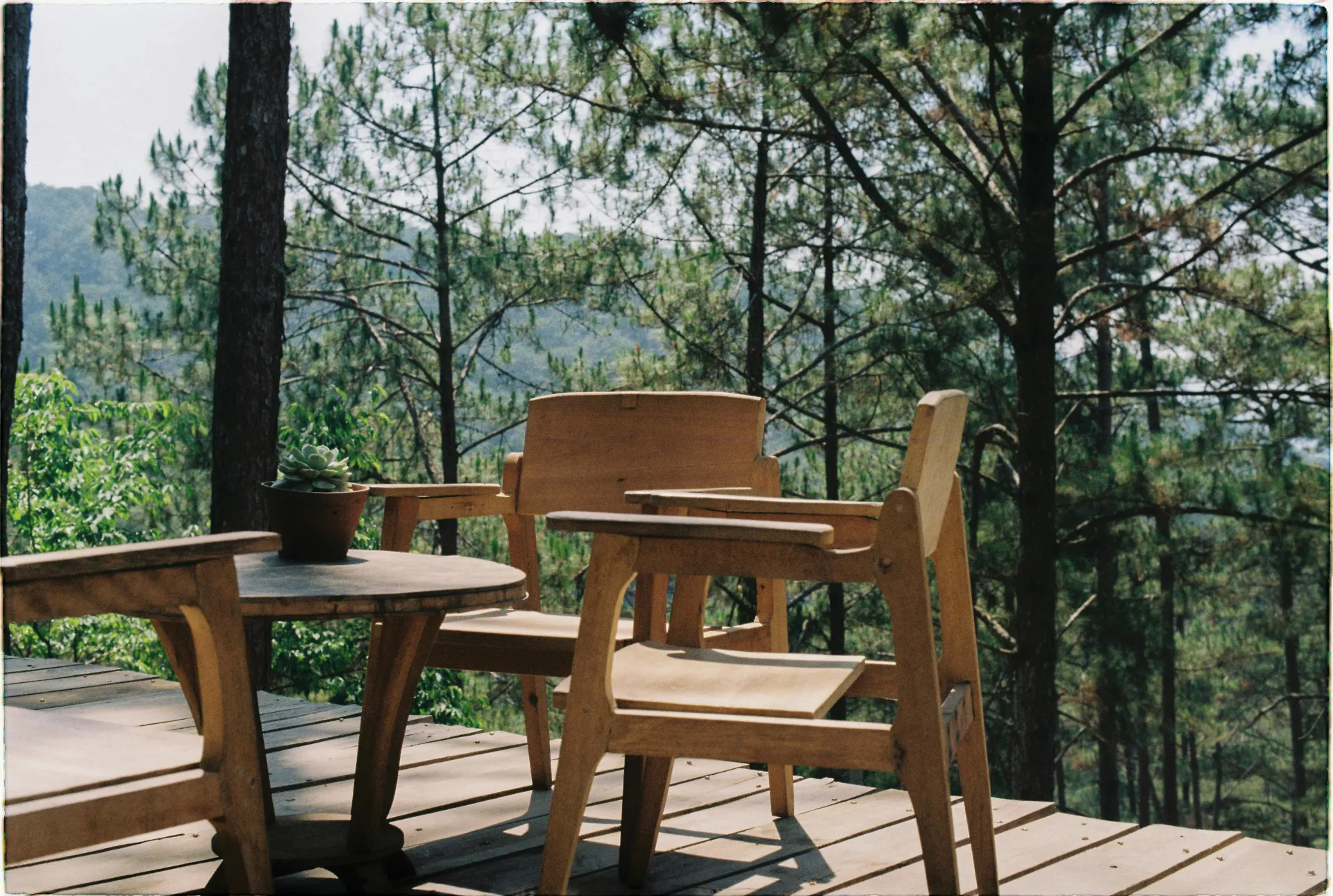 Terrasse en bois au bord d'un jardin boisé avec table et chaises pour repas en plein air